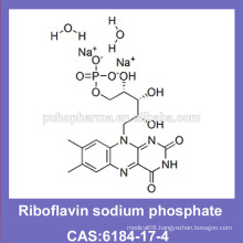 Riboflavin sodium phosphate (CAS: 6184-17-4) with GMP/COS/KOSHER/HALAL